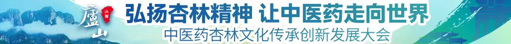 操逼操出水视频网站中医药杏林文化传承创新发展大会